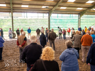 AH190423-10 - Anthony Honeyball Stable Visit